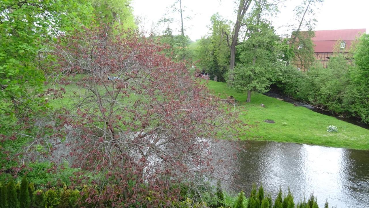 Villa An Der Bode Thale Luaran gambar